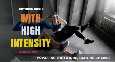 High-Intensity Workouts: Effective for Muscle Gain or Just Hype?