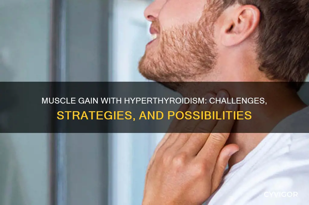 can you gain muscle with hyperthyroidism