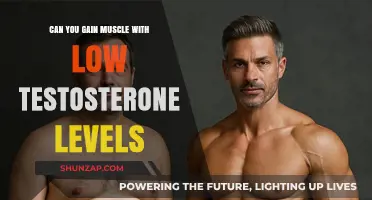 Building Muscle with Low Testosterone: Strategies for Strength and Growth