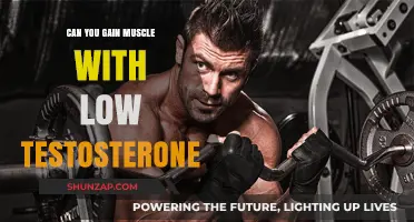 Building Muscle with Low Testosterone: Strategies for Strength and Growth
