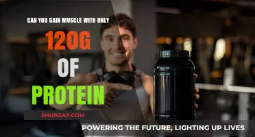 Building Muscle on 120g Protein: Is It Really Possible?