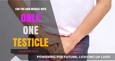 Can You Build Muscle with Only One Testicle? Facts Revealed