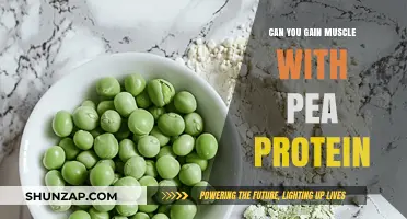 Pea Protein Power: Can It Effectively Build Muscle Mass?