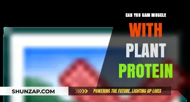 Plant Protein Power: Building Muscle on a Plant-Based Diet