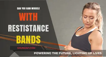 Build Strength and Muscle Effectively Using Resistance Bands at Home