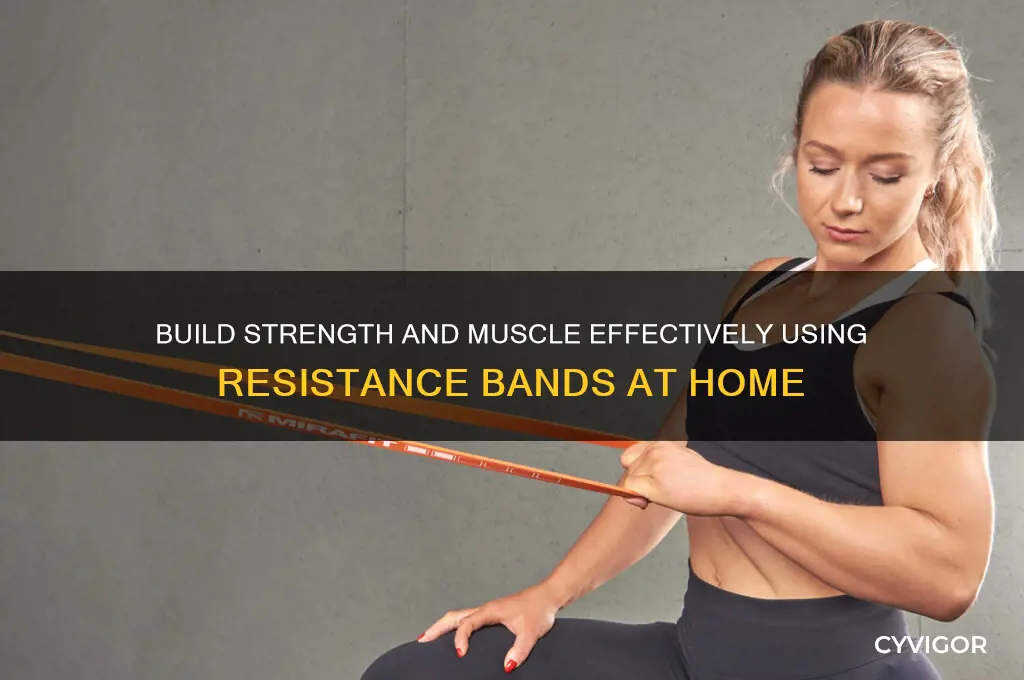 can you gain muscle with restistance bands