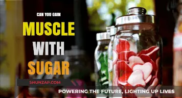 Sugar and Muscle Gain: Separating Fact from Fiction in Fitness
