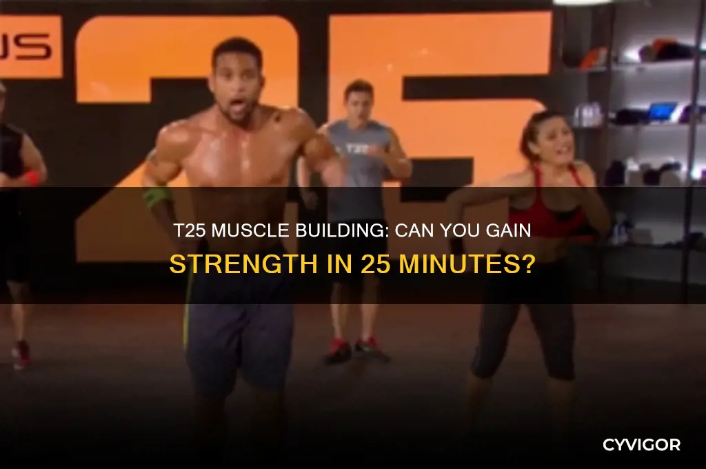can you gain muscle with t25