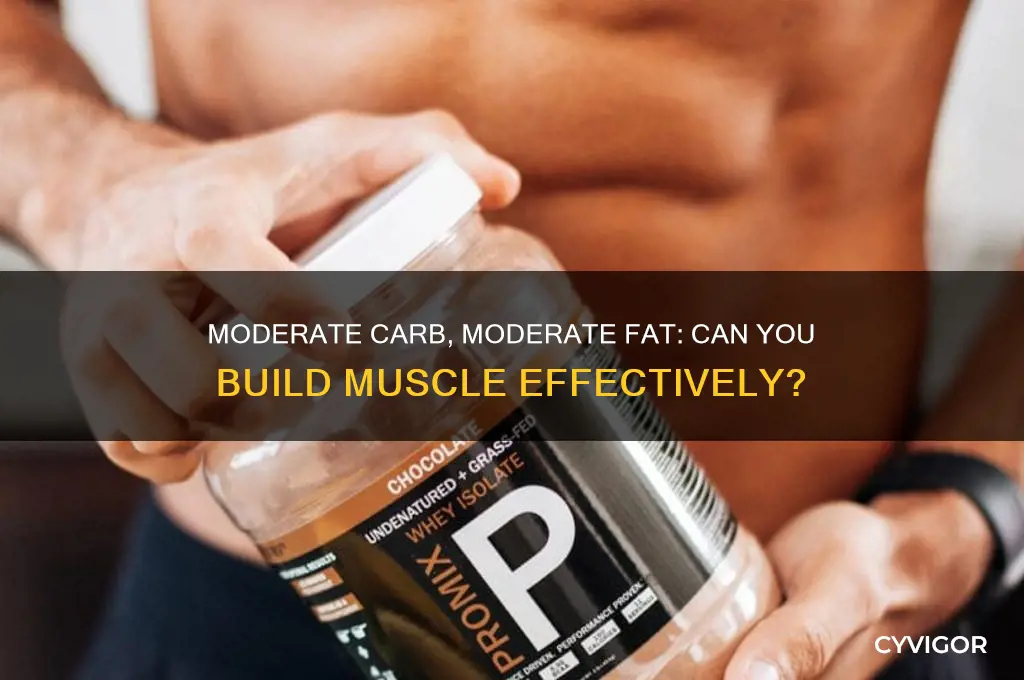 Moderate Carb, Moderate Fat: Can You Build Muscle Effectively? | CyVigor
