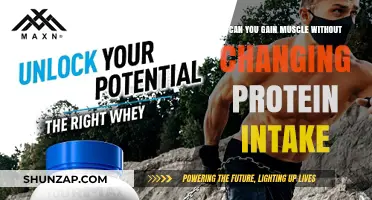 Building Muscle Without Increasing Protein Intake: Is It Possible?