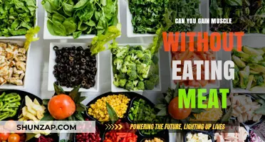 Building Muscle on a Plant-Based Diet: Is It Possible?