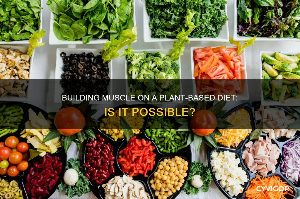 can you gain muscle without eating meat