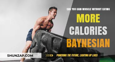 Muscle Gain Without Caloric Surplus: A Bayesian Perspective