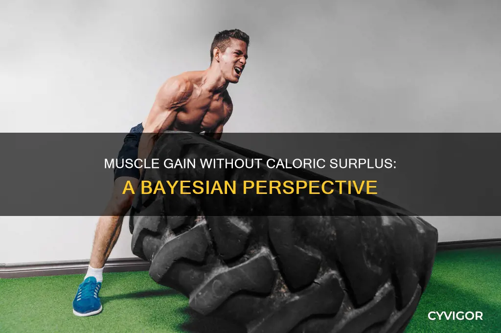 can you gain muscle without eating more calories baynesian