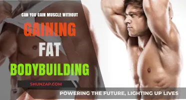 Muscle Gain Without Fat: Bodybuilding Strategies for Lean Growth