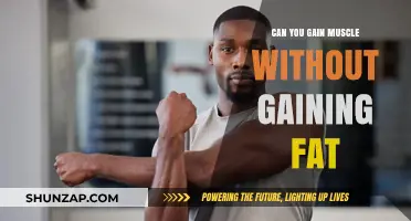 Building Muscle Without Fat Gain: Strategies for Lean Physique Transformation