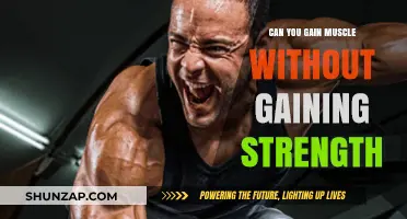 Muscle Growth Without Strength Gains: Is It Possible?