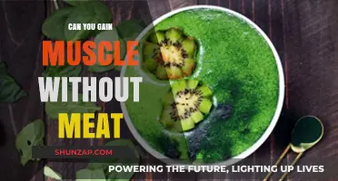 Building Muscle on a Plant-Based Diet: Meat-Free Gains Explained