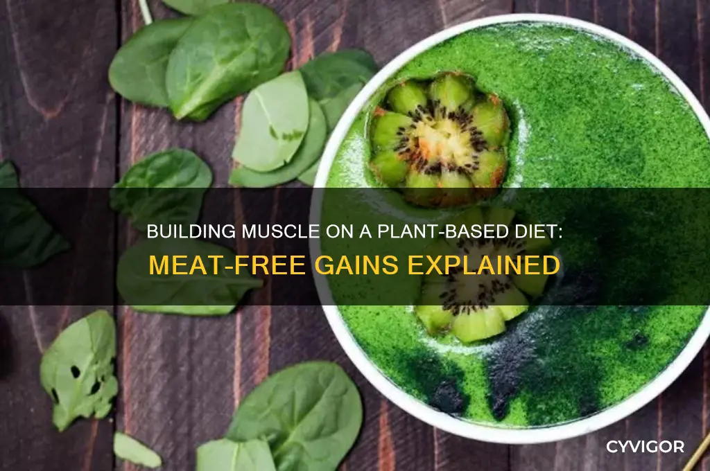 can you gain muscle without meat