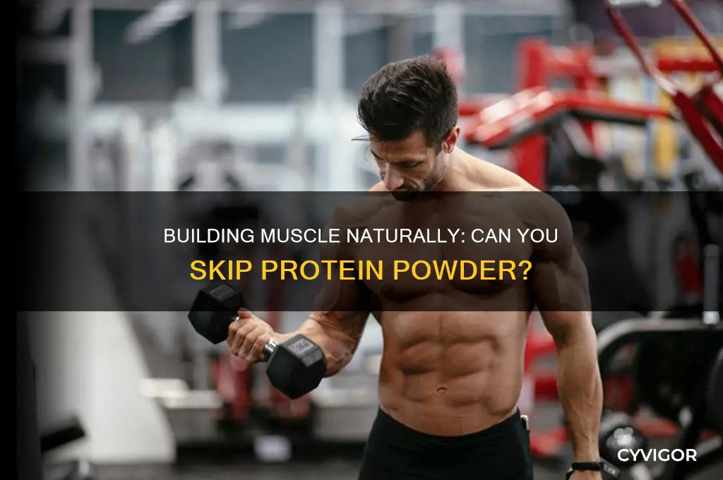 can you gain muscle without protein powder