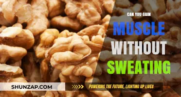 Muscle Gain Without Sweat: Is It Possible? Discover the Truth