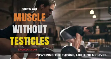 Muscle Building Without Testicles: Hormone-Free Strength Gains Explained