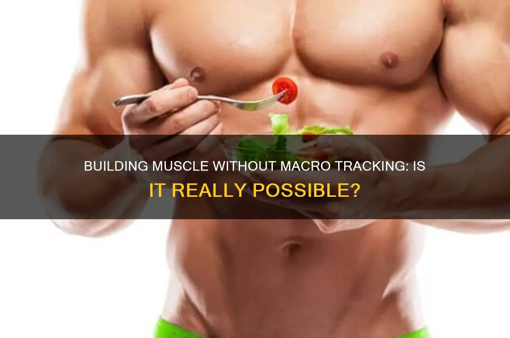 can you gain muscle without tracking macros