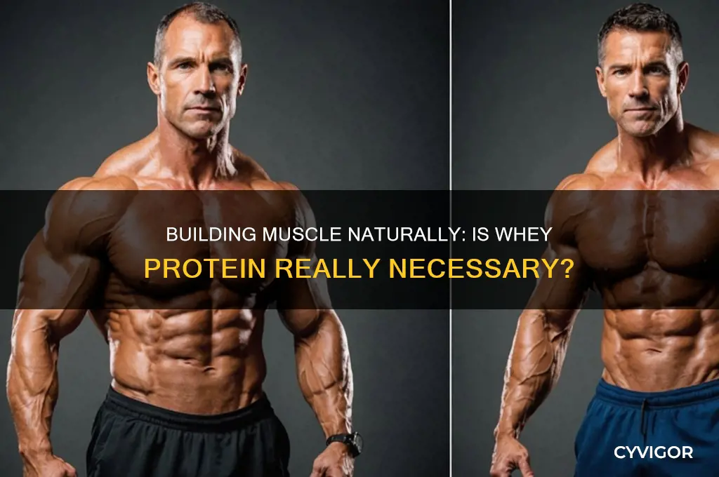 can you gain muscle without whey protein