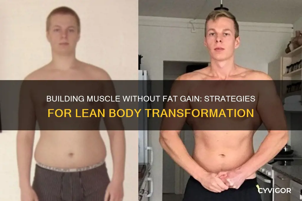 can you gain muscle withoutgaining fat