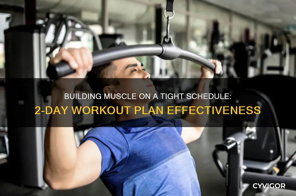 can you gain muscle working out 2 days a week
