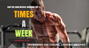 Building Muscle: Is Working Out 3 Times Weekly Enough?