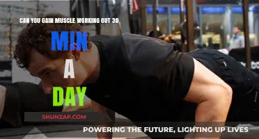 Can You Build Muscle with Just 30-Minute Daily Workouts?