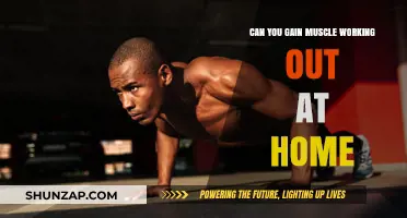 Build Muscle at Home: Effective Workouts Without the Gym