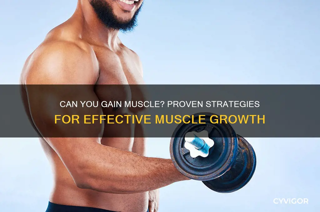 can you gain muscle
