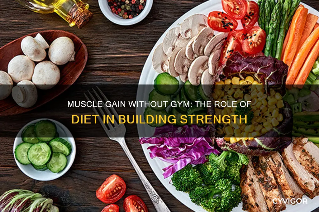 can you gain muscles by just diet