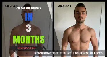 Building Muscle in 3 Months: Realistic Goals and Effective Strategies