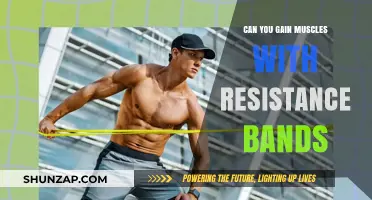 Resistance Bands for Muscle Growth: Effective Strength Training Alternative