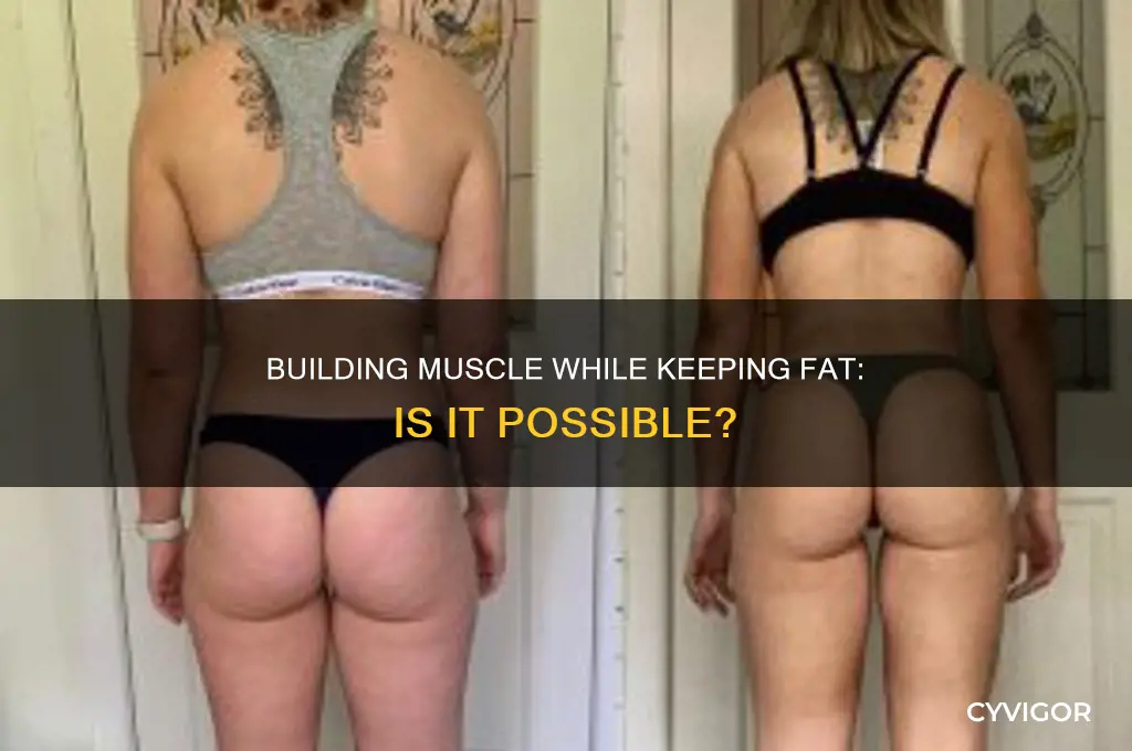can you gain muscles wothout losingfat