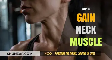 Building Neck Strength: Effective Exercises to Gain Neck Muscles Safely