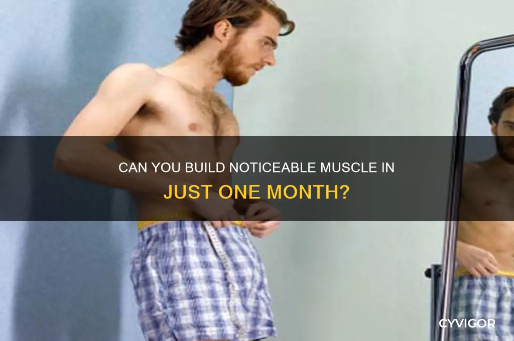 can you gain noticeable muscle in a month