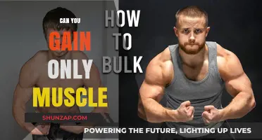Can You Gain Only Muscle? Separating Fact from Fiction in Fitness