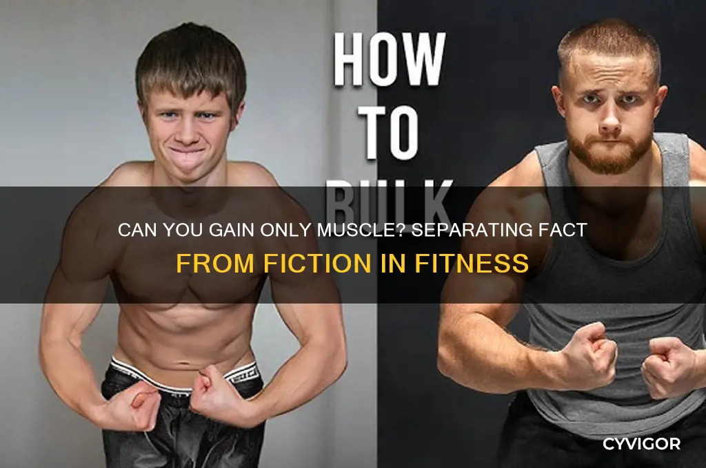 can you gain only muscle