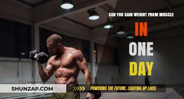 Can You Gain Muscle Weight in Just One Day?