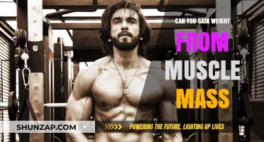 Muscle Mass and Weight Gain: Understanding the Connection and Benefits