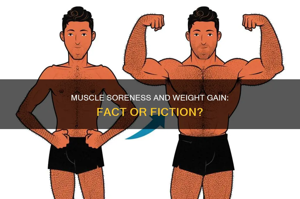 can you gain weight from muscle soreness