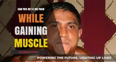 Six Pack and Muscle Gain: Achieving Both Simultaneously