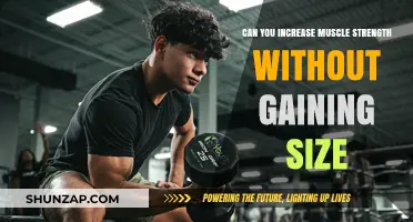 Boosting Muscle Strength Without Bulking Up: Is It Possible?