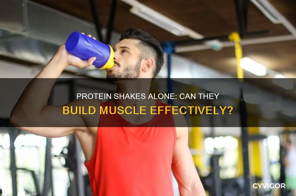 can you just drink protein shakes to gain muscle