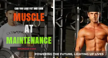 Fat Loss and Muscle Gain at Maintenance: Is It Possible?
