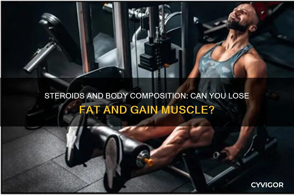 can you lose fat and gain muscle on steroids